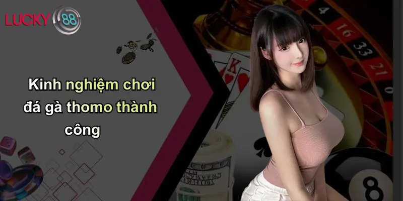 Kinh nghiệm chơi đá gà thomo thành công